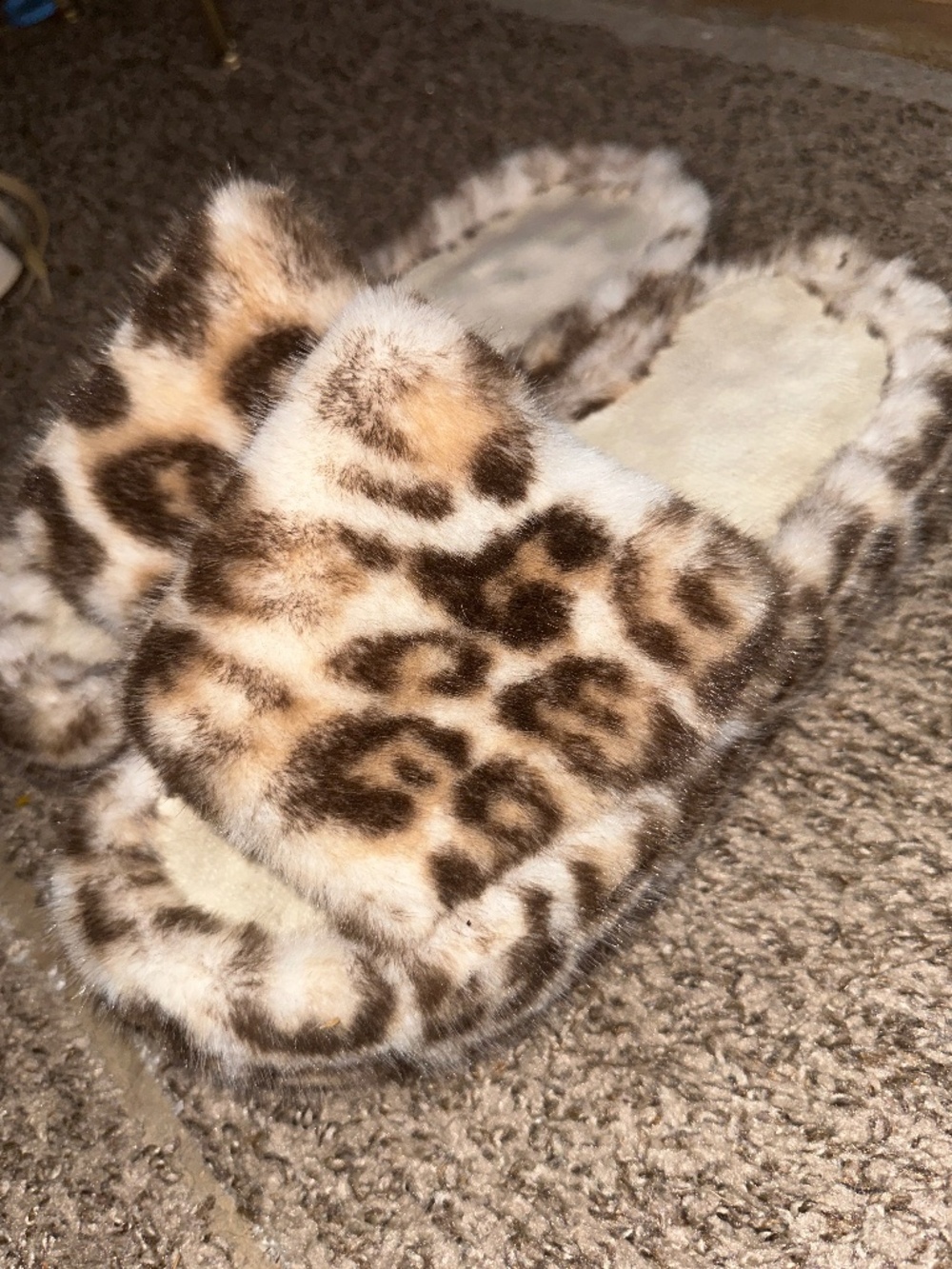 Cheetah Print Slides
